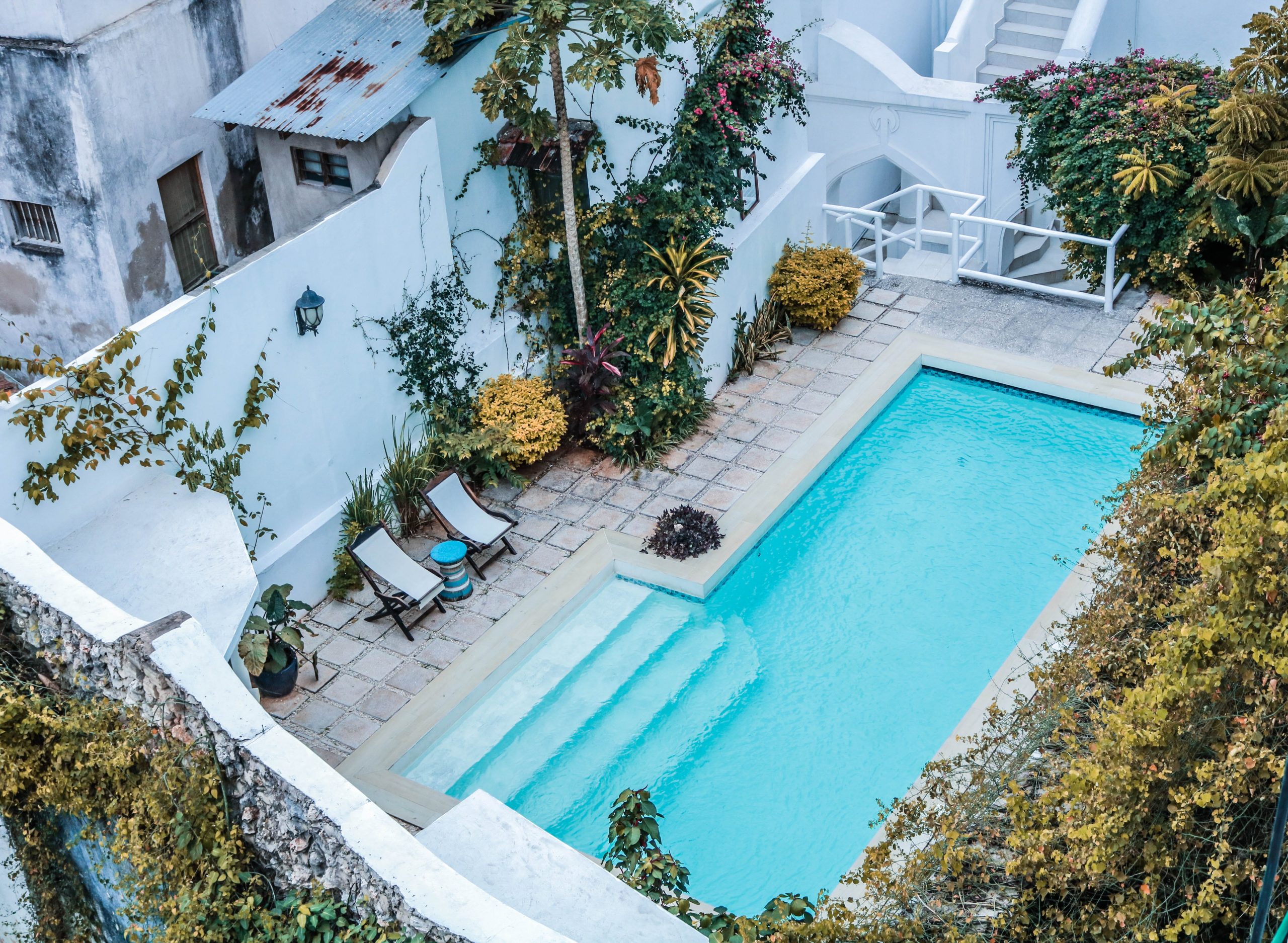 Patio avec piscine et terrasse entourée de végétation